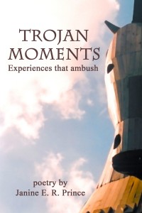 Trojan Moments (ebook) cover image by Janine Prince