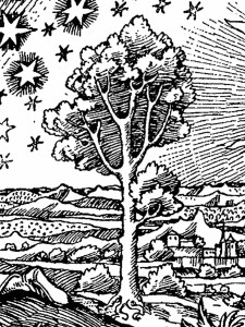 The tree in the Flammarion engraving