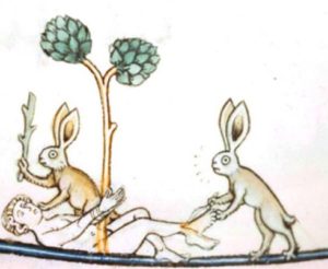 absurd medieval rabbits torture a man